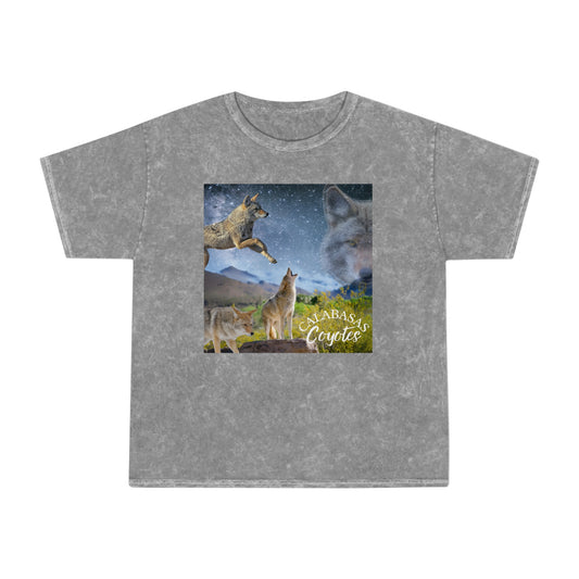 Calabasas Mineral Wash T-Shirt Wild