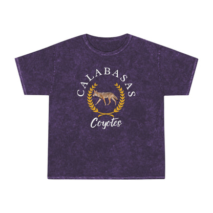 Calabasas Mineral Wash T-Shirt Prep W